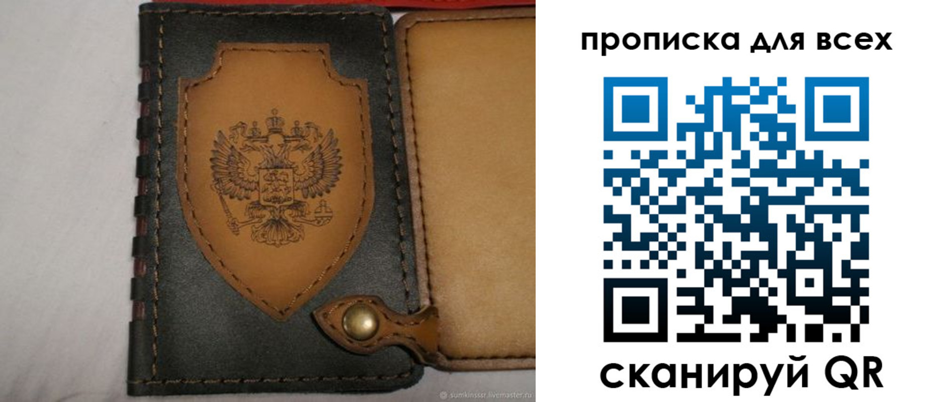 прописка для школы в Пионерском